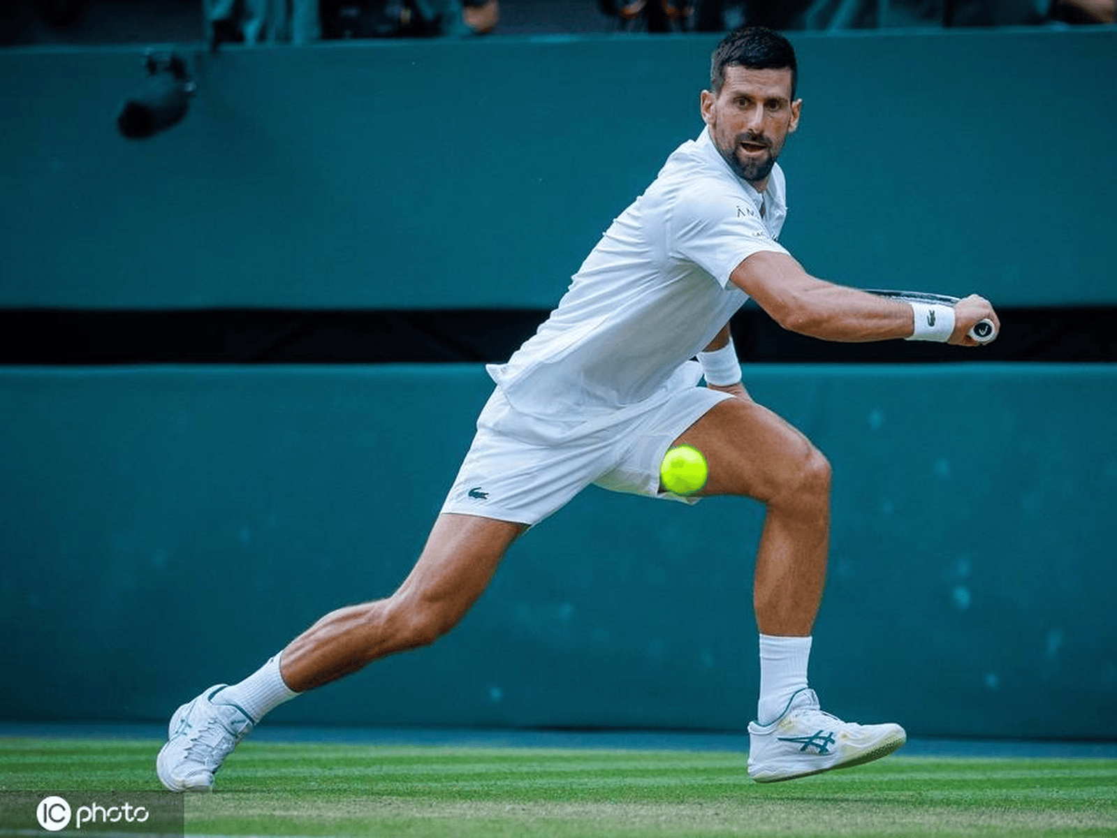 包含德约科维奇回归赛场，精彩发挥首场状态亮眼，TL观众沸腾！的词条